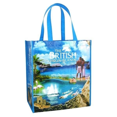 Borsa tessuta 110gsm riciclata della bottiglia 30x40x15cm RPET