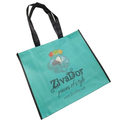 BOPP ha laminato la borsa non tessuta di Matt Biodegradable 100gsm pp