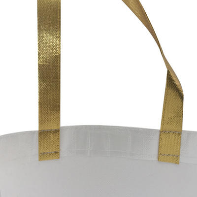 L'OEM 50cm ha laminato la borsa non tessuta di 38x12x30cm Eco