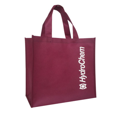 Borsa non tessuta amichevole di Eco 80gsm 1000pcs 30x15x35cm pp