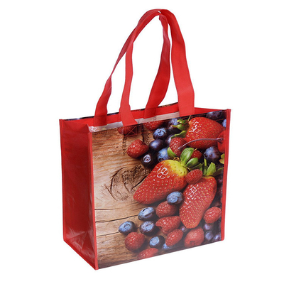 Il ODM 40x32x12cm 25kg 80gsm ha laminato le borse tessute del polipropilene