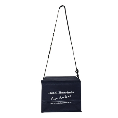 L'OEM non tessuto 80gsm di 20x15x18cm CMKY ha isolato la borsa più fresca