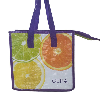 L'OEM impermeabile 100pcs 23x26x16cm ha isolato Tote Lunch Bag