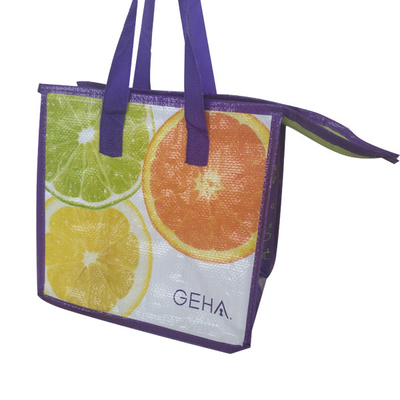 L'OEM impermeabile 100pcs 23x26x16cm ha isolato Tote Lunch Bag